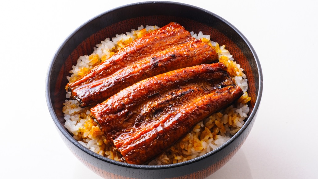 Grilled Unagi on Rice