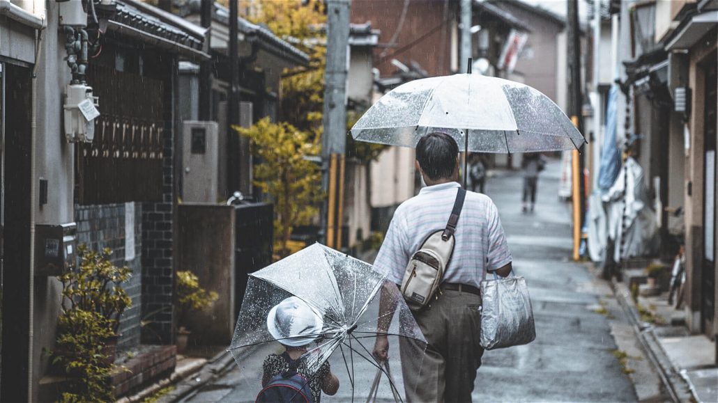 Summer Rain in Japan
