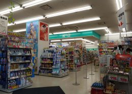 Japanese Drugstore