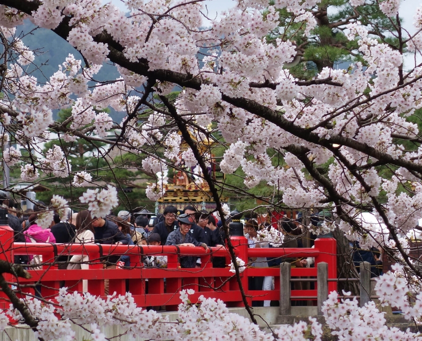 Takayama Spring Festival