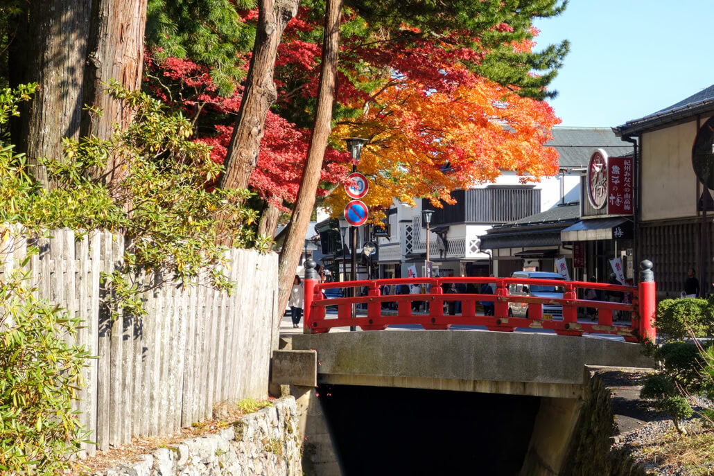 Autumn Leaves and Red Bridge in Koya
