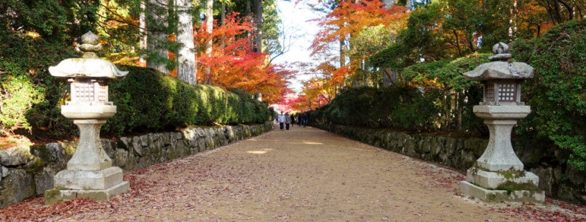 Autumn Leaves in Koya