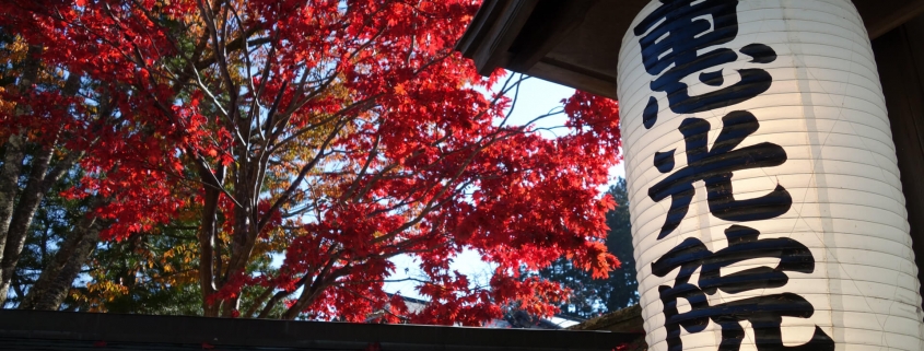 Lantern with Fall Colors