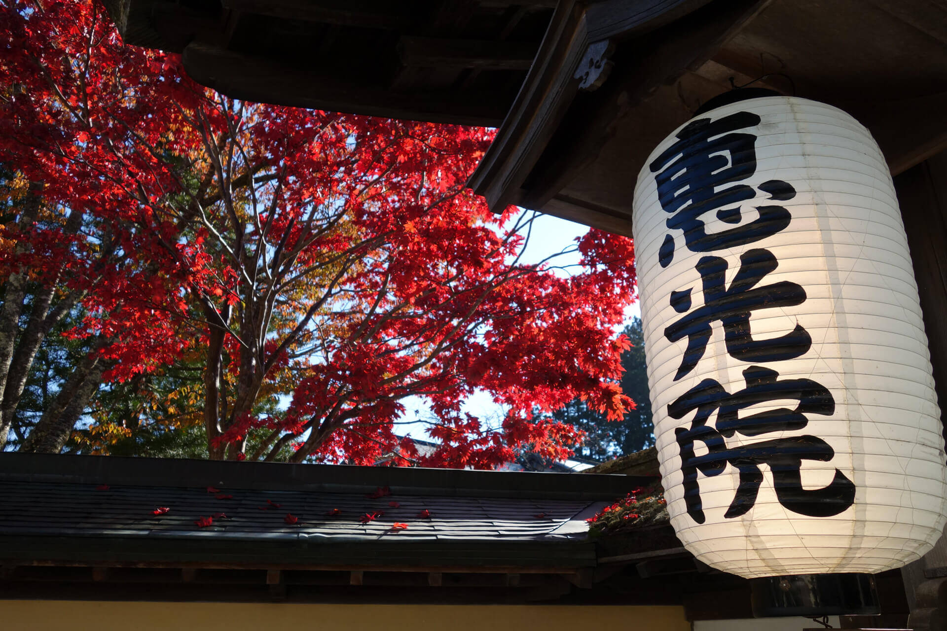 5 Reasons You Should Visit Japan in the Fall | JAPAN and more