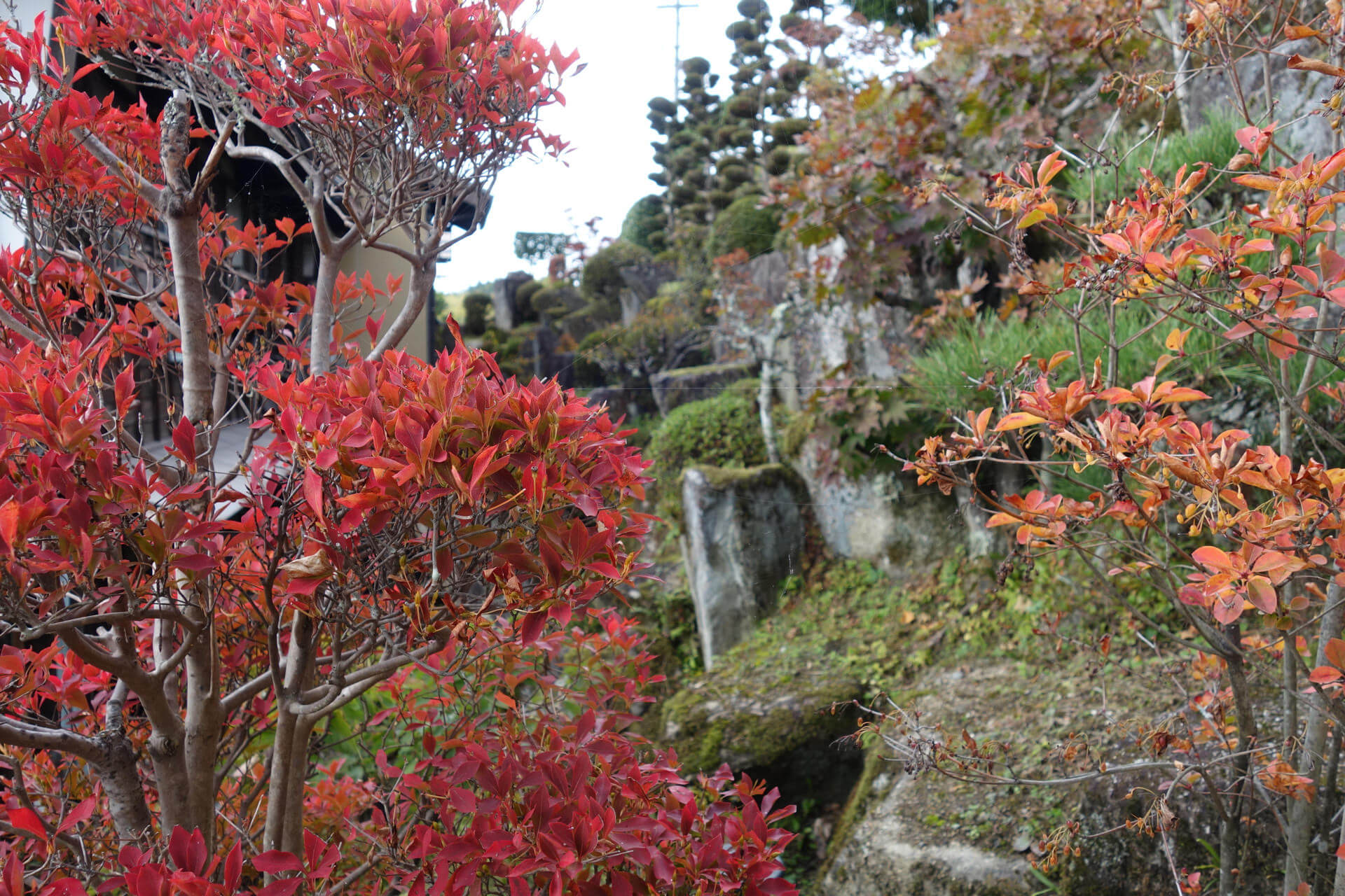 Fall Foliage in Magome Mountain Village