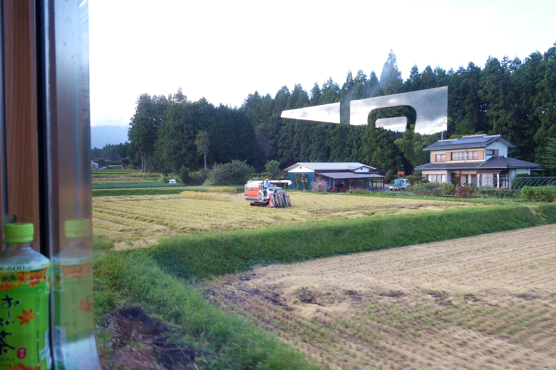 Rice Harvest Seen From Train