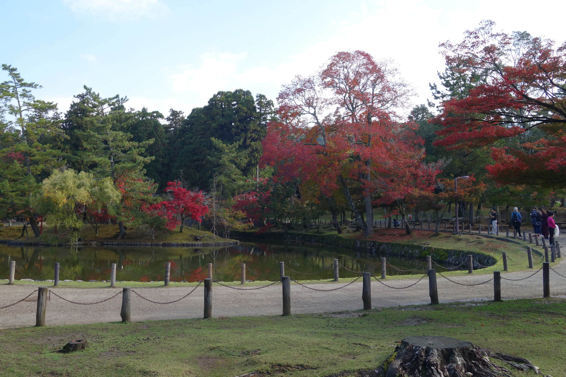 Todaiji Garden - Nara