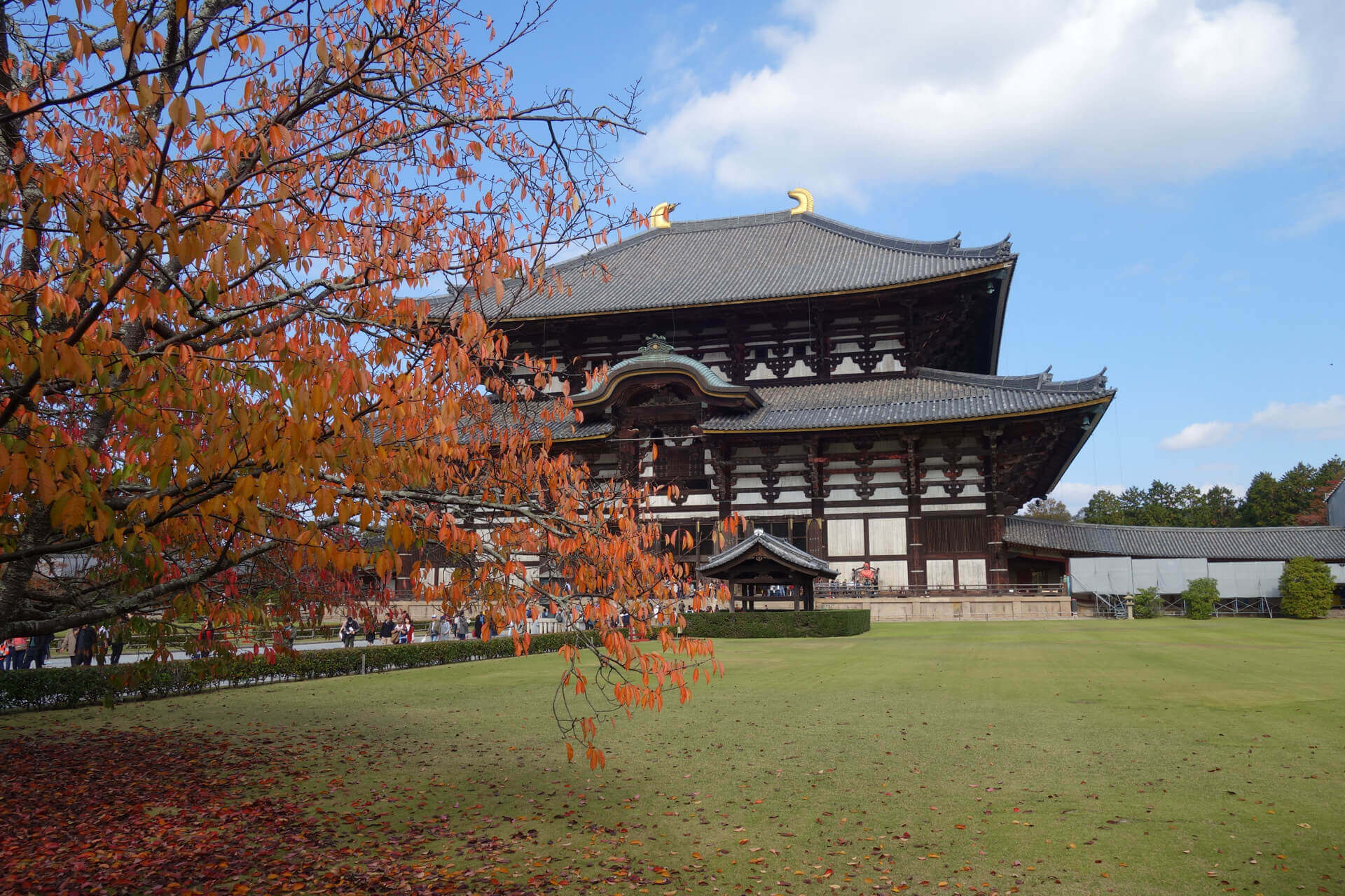 Todaiji - Nara