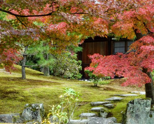 Fall Leaves at Kinkakuji