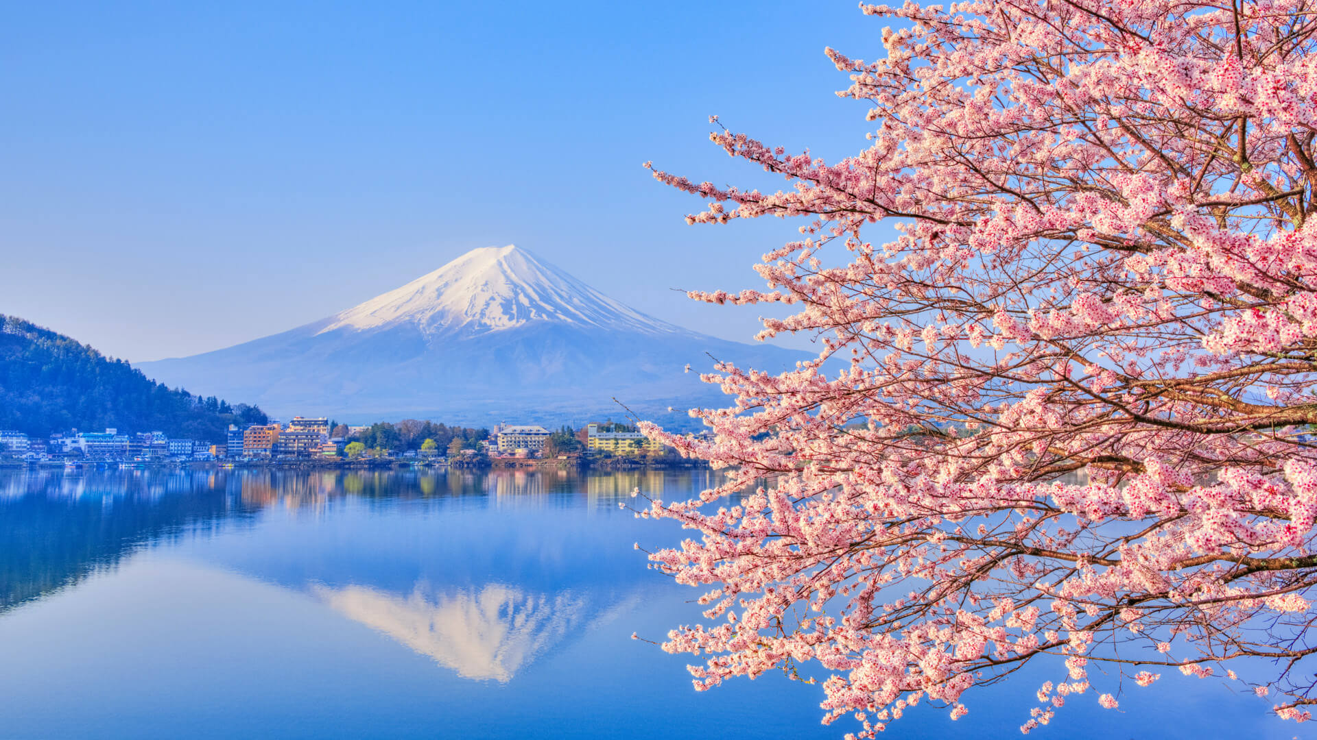 South japan. Киото Фудзияма. Япония гора Фудзияма и Сакура. Токио Сакура Фудзияма. Япония цветение Фудзи.