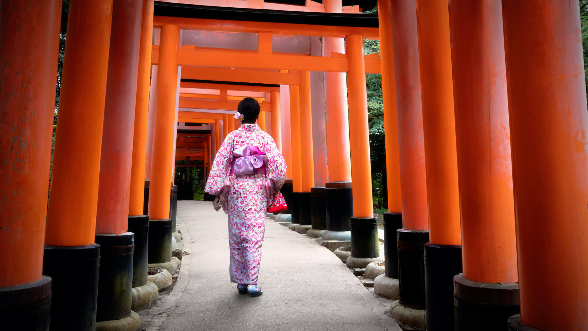Private Japan Tours: Multi-Day, Small Group | JAPAN and more