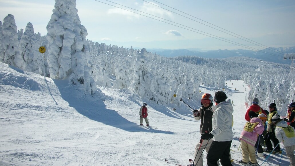 Zao Ski Tour