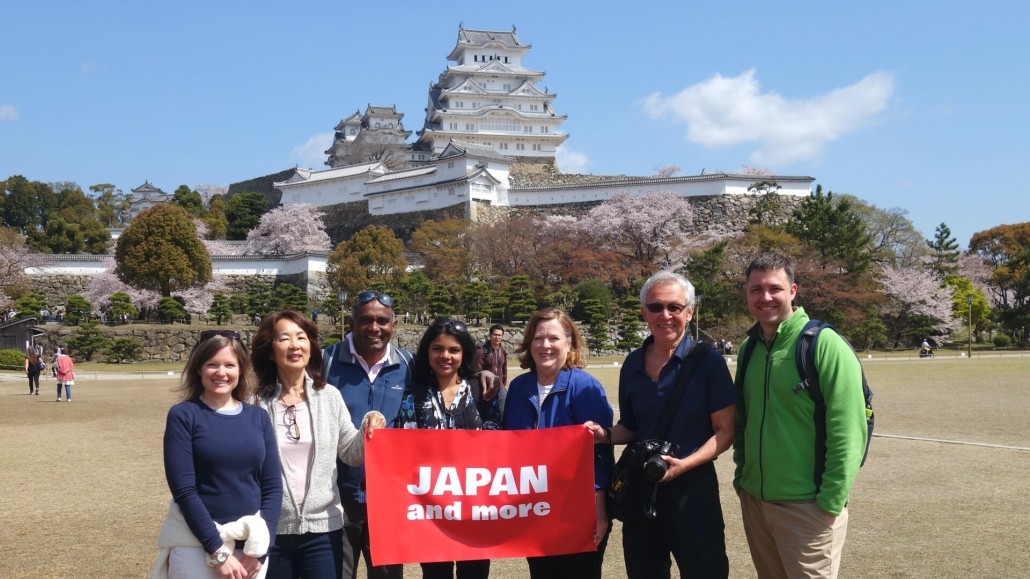 Himeji Castle Cherry Blossom Tour 2019