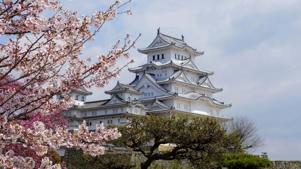 Himeji Castle Cherry Blossoms in April