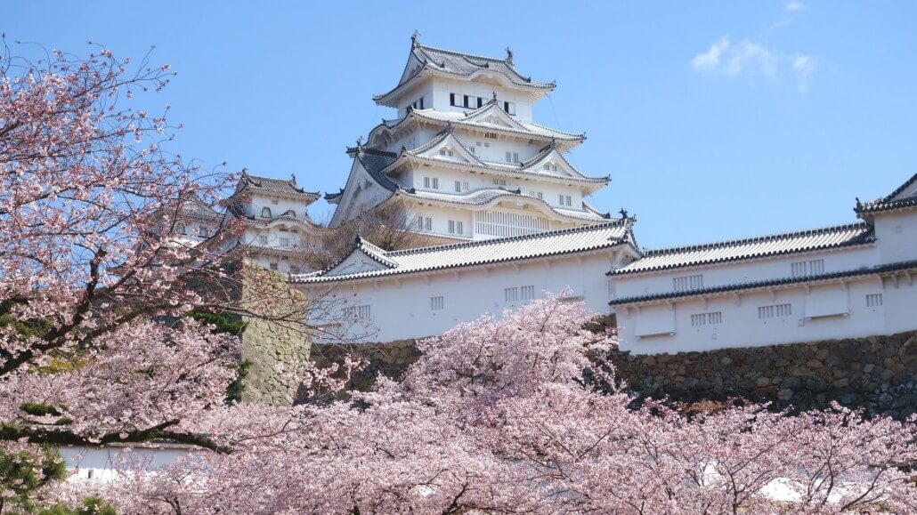 Himeji Castle Cherry Blossoms in April 2019