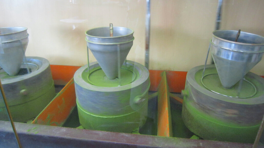 Matcha Green Tea Production