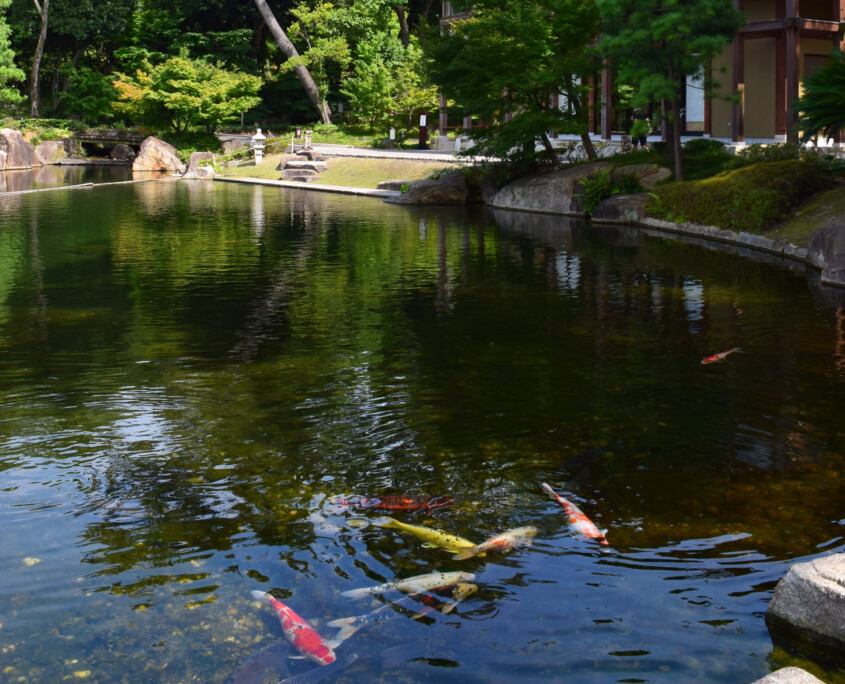 Tokugawaen Ryusen Pond