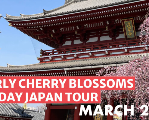 Early Cherry Blossom Japan Tour