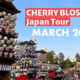 Cherry Blossoms Japan Tour