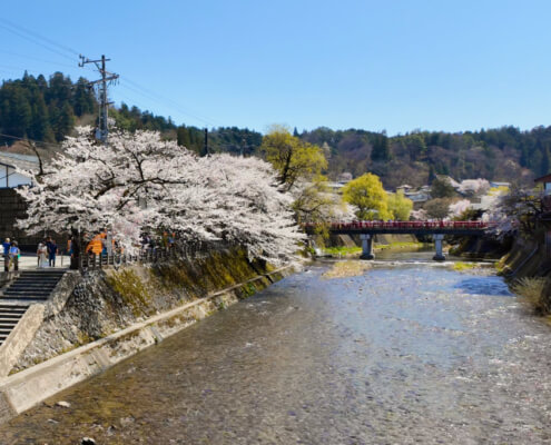 Takayama River - April 7, 2024 Tour