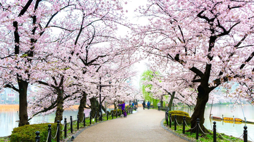 Ueno Park Path Near Benten Temple