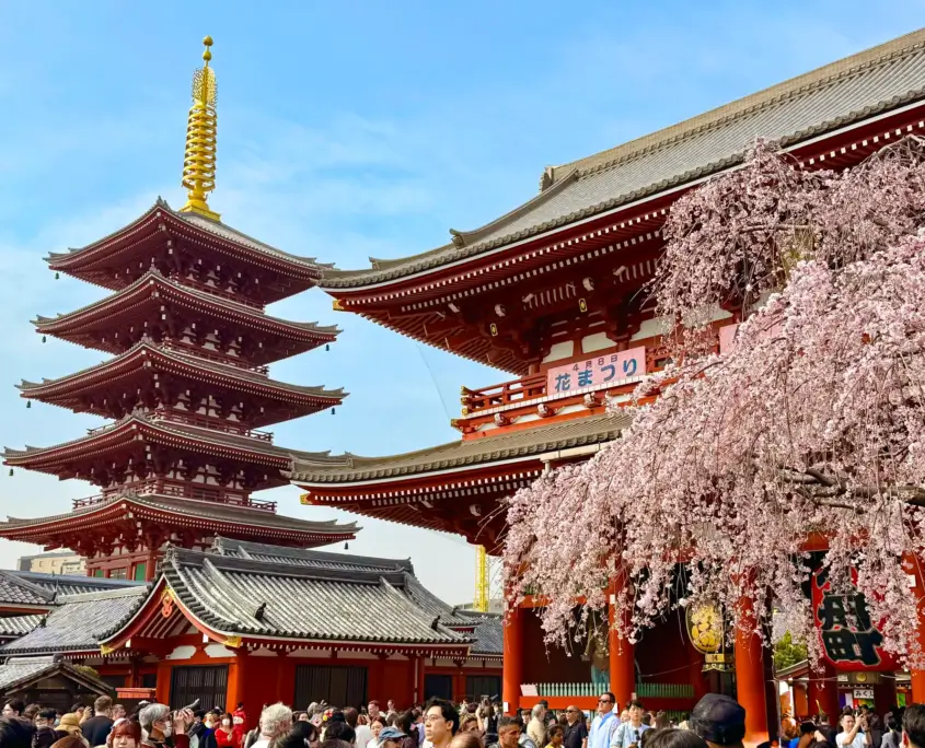 Sensoji 5-Tiered Pagoda in Asakusa