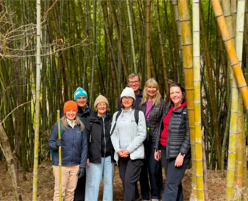 Bamboo Forest Along the Nakasendo