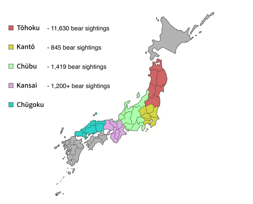 Kansai Region Bear Sightings
