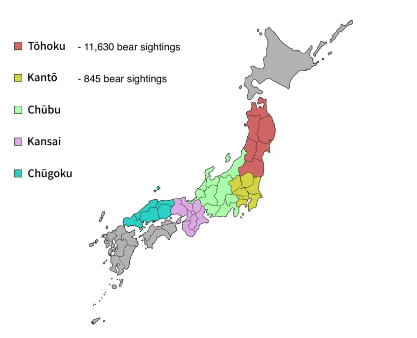Kanto Region Bear Sightings