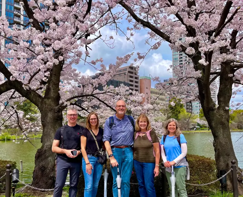 Group Under Cherry Tree in Ueno Park