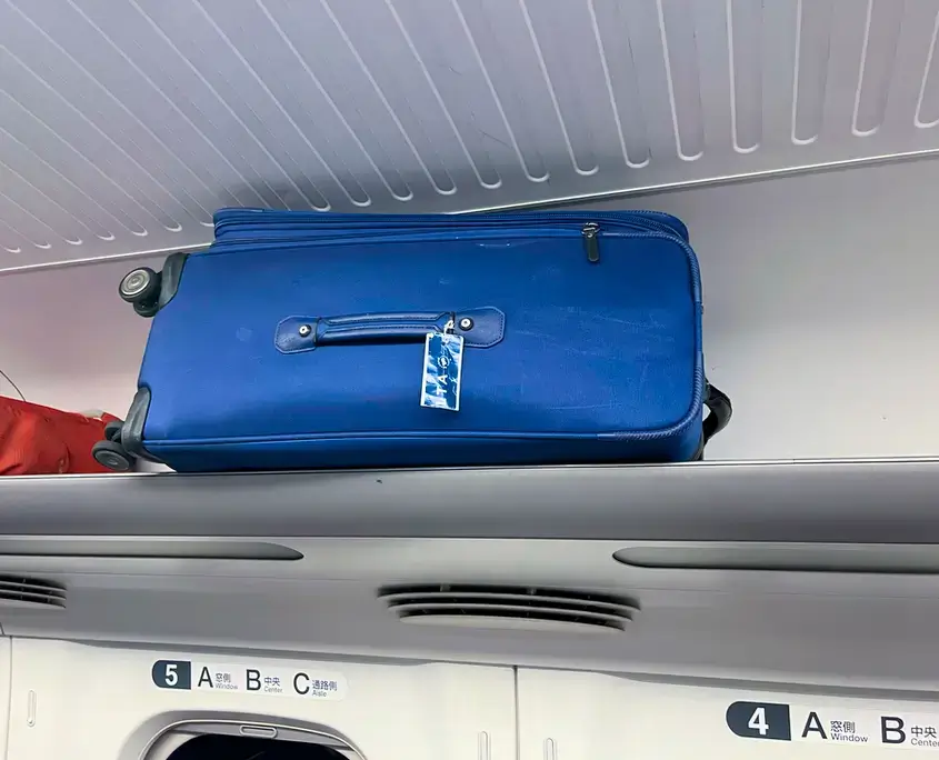 Shawn's 25-inch TravelPro Spinner in Overhead